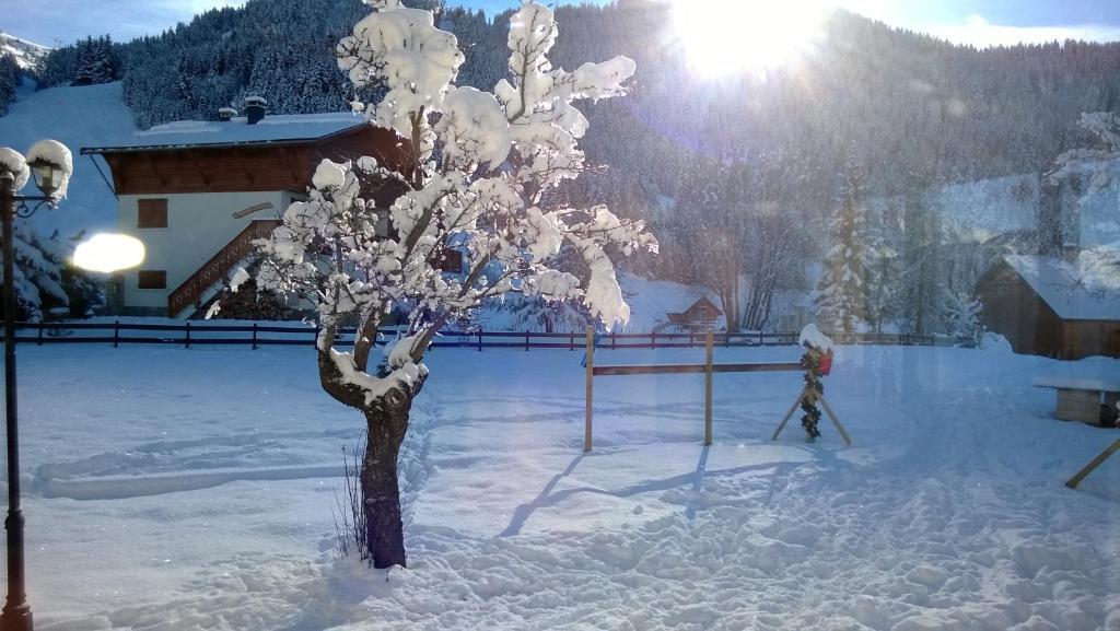 La Foret De Maronne La Garde  Eksteriør bilde